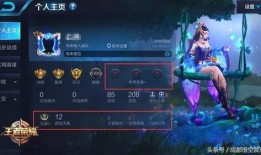 王者七周年最新爆料视频