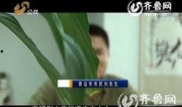 神爆料全集视频在线观看,揭秘幕后真相，带你领略精彩瞬间