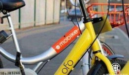 ofo最新爆料,揭秘共享单车巨头背后的真相与困境”