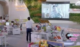 美国办公室爆料视频大全,独家爆料视频大盘点