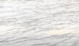 爆料广州暴雨最新消息视频,城市应对极端天气挑战纪实