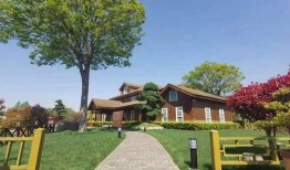 东莞拆迁爆料最新消息查询,多区域启动，补偿方案引关注