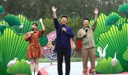 东莞网红爆料事件视频最新,揭秘背后真相与网络舆论风暴