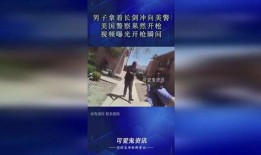 美国警察文件爆料视频播放,揭露惊人内幕与真相