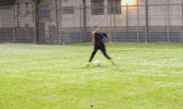 曝曼联内部爆料视频,揭秘球队内部矛盾与争议