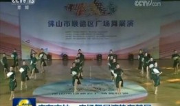 今日佛山爆料新闻视频,视频揭露XX事件真相