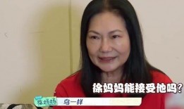 徐妈妈爆料图片搞笑视频,搞笑视频引发网友热议，笑料百出！