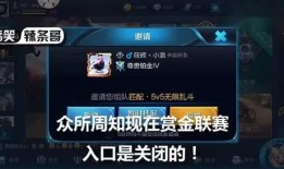 王者爆料壮哥视频下载,独家揭秘游戏内幕与精彩瞬间