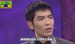 萧敬腾女友爆料视频播放,揭秘背后真相