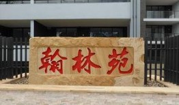 翰林院爆料视频,视频内容深度解析