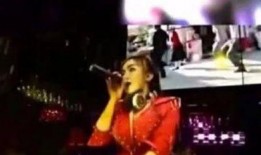 李子柒夜店爆料视频网,揭秘网红背后的真实生活