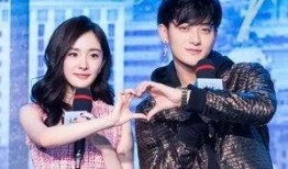 杨幂爆料爸爸视频全集,揭秘明星家庭温馨瞬间