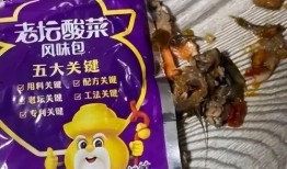 老坛酸菜面爆料视频播放,视频爆料引发舆论风暴