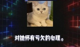 娱乐综艺吃瓜八卦视频大全,揭秘热门八卦视频大全