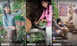 中国茶叶爆料视频大全,视频大全带你领略茶香四溢