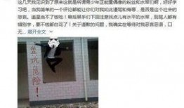 宋先生爆料最新消息视频