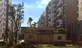 西安断头路最新爆料电话,电话追踪城市交通难题