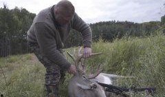 打猎视频在线观看,在线观看打猎视频的惊险之旅