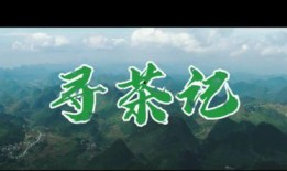 中国茶叶爆料视频大全,视频大全带你领略茶香四溢