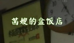 茜嫂的盒饭店在线观看,美食之旅，家的味道在线呈现