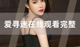 爱寻迷在线观看,一场跨越时空的浪漫冒险之旅