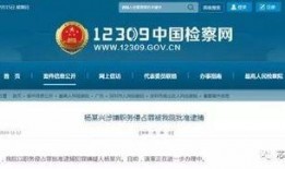 杨某爆料深圳新闻最新消息