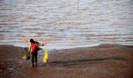 海南赶海爆料视频大全最新,揭秘最新爆料视频大全