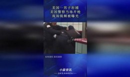 美国警察文件爆料视频播放,揭露惊人内幕与真相