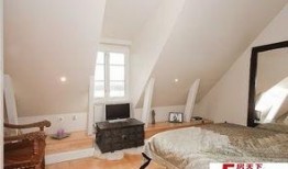 阁楼2014 在线观看,在线重温经典悬疑之作