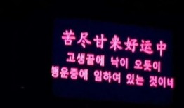 娱乐爆料文案励志小短文,小短文背后的故事力量