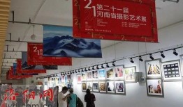 洛阳今日爆料,揭秘城市新鲜事