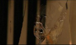 透明人2在线观看,揭秘人体奥秘，探索生命极限