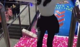 太原网红爆料视频最新版,揭秘城市新热点与神秘事件