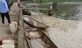 女子爆料自家鱼塘视频,女子曝光自家鱼塘惊人内幕