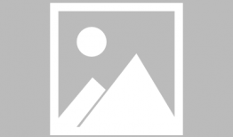 无证之罪全集在线观看