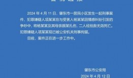 肇东最新爆料新闻报道网,揭秘事件背后惊人真相