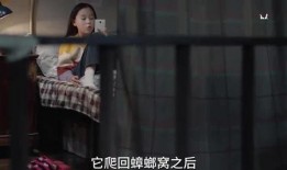 丁姐爆料视频大全集,揭秘娱乐圈幕后真相