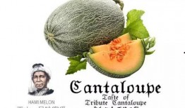 吃瓜的娱乐号是什么,吃瓜群众热议的娱乐号背后的故事