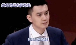 闺蜜爆料 杨鸣视频播放,杨鸣视频引发热议，揭秘背后真相！