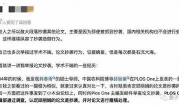论文门最新爆料,最新爆料揭示论文门背后惊人真相