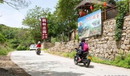 林州吃瓜大爆料视频下载,视频内容深度解析