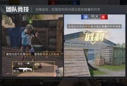 第六区首领爆料视频大全,揭秘神秘组织内幕