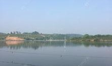 当阳三八水库爆料最新消息,最新爆料揭示惊人真相！”