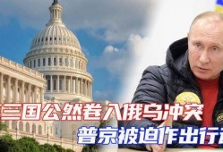 爆料俄乌冲突最新动态,战局突变，国际局势再掀波澜