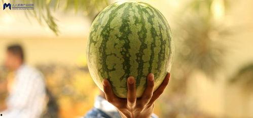 娱乐吃瓜为什么火,揭秘网络现象的火爆之谜